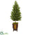 Silk Plants Direct Olive Cone Topiary Artificial Tree - Pack of 1