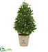 Silk Plants Direct Bay Leaf Cone Topiary Artificial Tree - Pack of 1