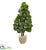 Silk Plants Direct Fiddle Leaf Fig Artificial Tree - Pack of 1