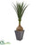 Silk Plants Direct Yucca Artificial Plant - Pack of 1