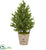 Silk Plants Direct Olive Cone Topiary Artificial Tree - Pack of 1