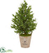 Silk Plants Direct Olive Cone Topiary Artificial Tree - Pack of 1