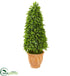 Silk Plants Direct Eucalyptus Cone Topiary Artificial Tree - Pack of 1