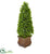 Silk Plants Direct Eucalyptus Cone Topiary Artificial Tree - Pack of 1