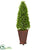 Silk Plants Direct Eucalyptus Cone Topiary Artificial Tree - Pack of 1