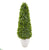 Silk Plants Direct Eucalyptus Topiary Artificial Tree - Pack of 1