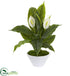 Silk Plants Direct Spathifyllum Artificial Plant - Pack of 1