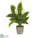 Silk Plants Direct Spathifyllum Artificial Plant - Pack of 1