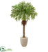 Silk Plants Direct Robellini Palm Artificial Tree - Pack of 1