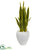 Silk Plants Direct Sansevieria Artificial Plant - Pack of 1