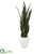 Silk Plants Direct Sansevieria Artificial Plant - Pack of 1