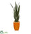 Silk Plants Direct Sansevieria Artificial Plant - Pack of 1