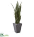 Silk Plants Direct Sansevieria Artificial Plant - Pack of 1