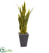 Silk Plants Direct Sansevieria Artificial Plant - Pack of 1