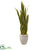 Silk Plants Direct Sansevieria Artificial Plant - Pack of 1