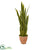 Silk Plants Direct Sansevieria Artificial Plant - Pack of 1