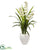 Silk Plants Direct Cymbidium Orchid Artificial Plant - Pack of 1