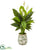 Silk Plants Direct Spathiphyllum Artificial Plant - Pack of 1