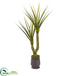 Silk Plants Direct Yucca Artificial Plant - Pack of 1