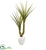 Silk Plants Direct Yucca Artificial Plant - Pack of 1