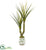 Silk Plants Direct Yucca Artificial Plant - Pack of 1