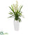 Silk Plants Direct Cymbidium Orchid Artificial Plant - Pack of 1