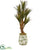 Silk Plants Direct Yucca Artificial Tree - Pack of 1