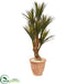 Silk Plants Direct Yucca Artificial Tree - Pack of 1