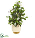 Silk Plants Direct Stephanotis Artificial Plant - Pack of 1