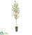 Silk Plants Direct Olive Artificial Tree - Pack of 1