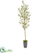 Silk Plants Direct Olive Artificial Tree - Pack of 1