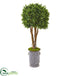 Silk Plants Direct Boxwood Artificial Topiary Tree - Pack of 1