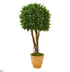 Silk Plants Direct Boxwood Artificial Topiary Tree - Pack of 1