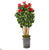 Silk Plants Direct Hibiscus Artificial Tree - Pack of 1