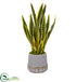 Silk Plants Direct Sansevieria Artificial Plant - Pack of 1