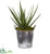 Silk Plants Direct Aloe Artificial Plant - Pack of 1