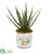 Silk Plants Direct Aloe Artificial Plant - Pack of 1