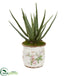 Silk Plants Direct Aloe Artificial Plant - Pack of 1