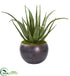 Silk Plants Direct Aloe Artificial Plant - Pack of 1