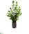 Silk Plants Direct Zamioculcas Artificial Plant - Pack of 1