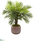 Silk Plants Direct Robellini Palm Artificial Tree - Pack of 1