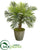 Silk Plants Direct Robellini Palm Artificial Tree - Pack of 1