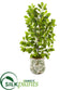 Silk Plants Direct Ficus Artificial Tree - Pack of 1