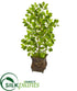 Silk Plants Direct Ficus Artificial Tree - Pack of 1