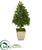 Silk Plants Direct Sweet Bay Cone Topiary Artificial Tree - Pack of 1