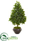 Silk Plants Direct Sweet Bay Cone Topiary Artificial Tree - Pack of 1