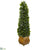 Silk Plants Direct Sweet Bay Cone Topiary Artificial Tree - Pack of 1