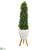 Silk Plants Direct Sweet Bay Cone Topiary Artificial Tree - Pack of 1