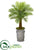 Silk Plants Direct Robellini Palm Artificial Tree - Pack of 1