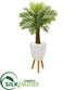 Silk Plants Direct Robellini Palm Artificial Tree - Pack of 1